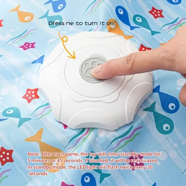 Multi-Functional Hunting Toy for Cats