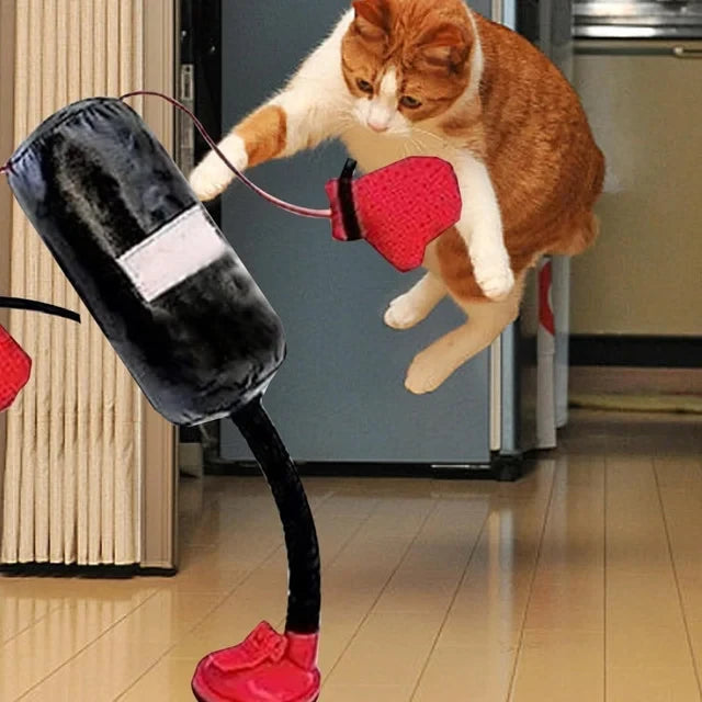 Interactive Cat Punching Bag
