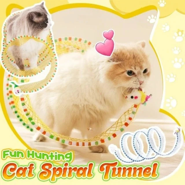 The Magical Spiral Tunnel
