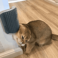 Cat Self Grooming Brush??