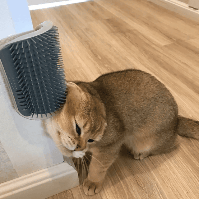 Cat Self Grooming Brush??