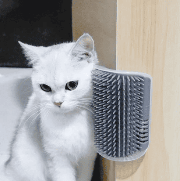 Cat Self Grooming Brush??