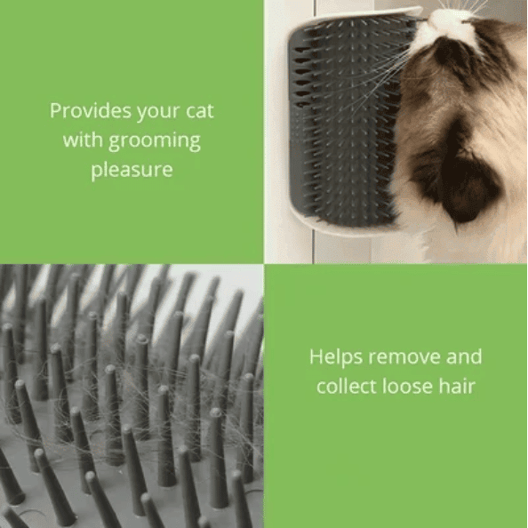 Cat Self Grooming Brush??