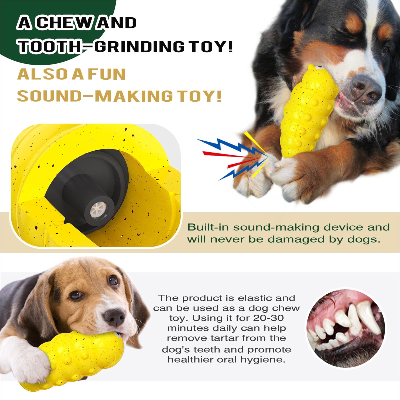 Squeaky Chew Ball