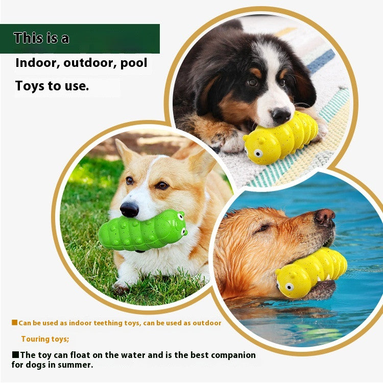Squeaky Chew Ball