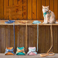 Luminous Cat Vest Harness and Leash Set??