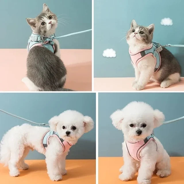 Luminous Cat Vest Harness and Leash Set??