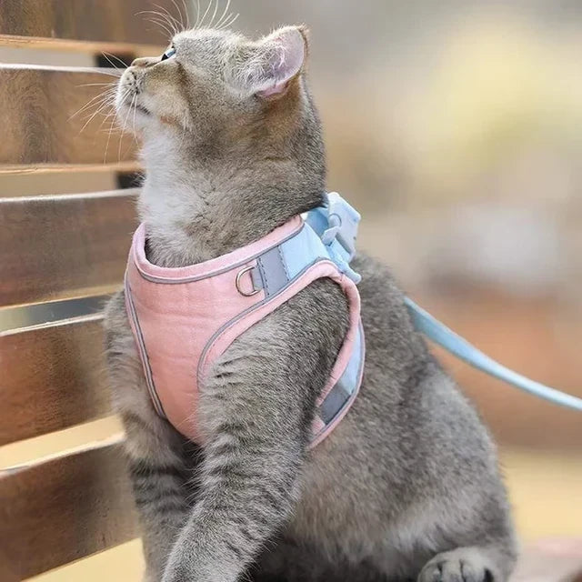 Luminous Cat Vest Harness and Leash Set??