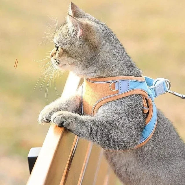 Luminous Cat Vest Harness and Leash Set??