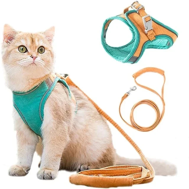 Luminous Cat Vest Harness and Leash Set??