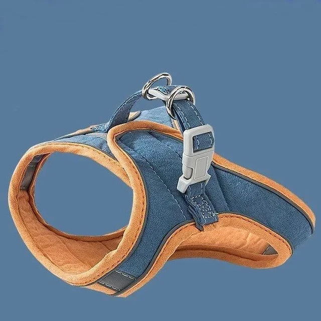 Luminous Cat Vest Harness and Leash Set??