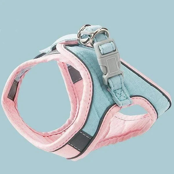 Luminous Cat Vest Harness and Leash Set??