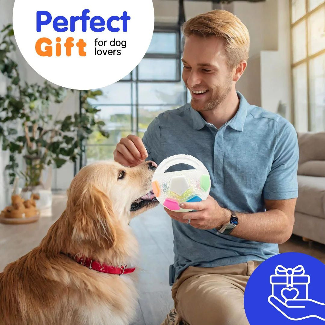 Squeaky Football Toy Dog Teething