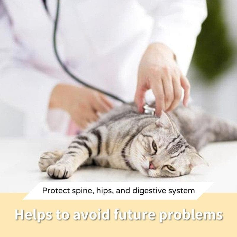 Anti-Vomiting Orthopedic Cat Bowl