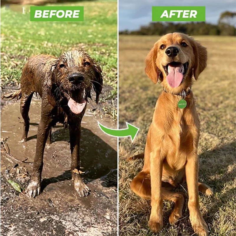 Pet Sprayer Wash Cleaning Dog