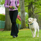 Automatic Retractable Dog Leash - Dual Size Options with Brake & Lock