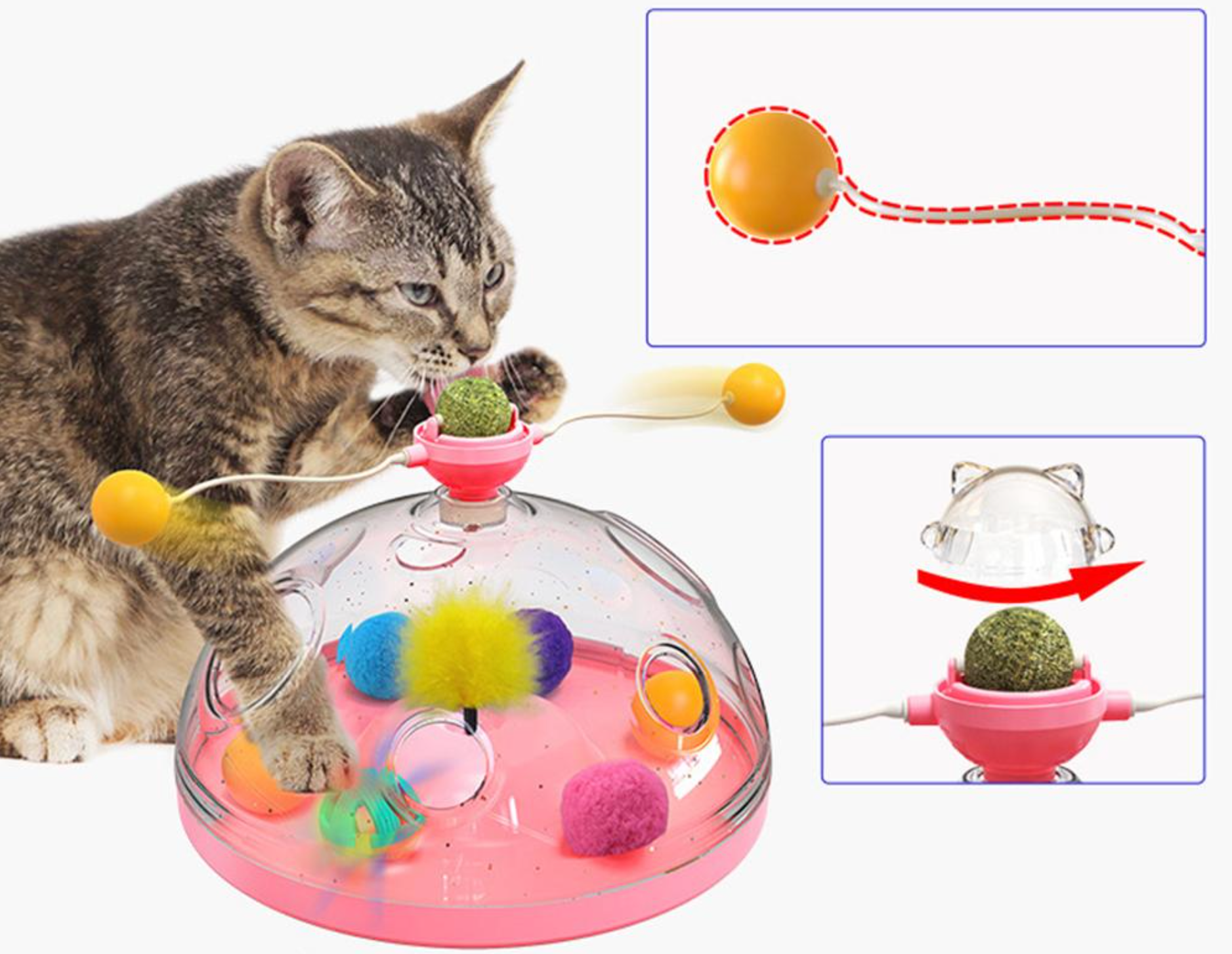 Cat Enrichment Dome