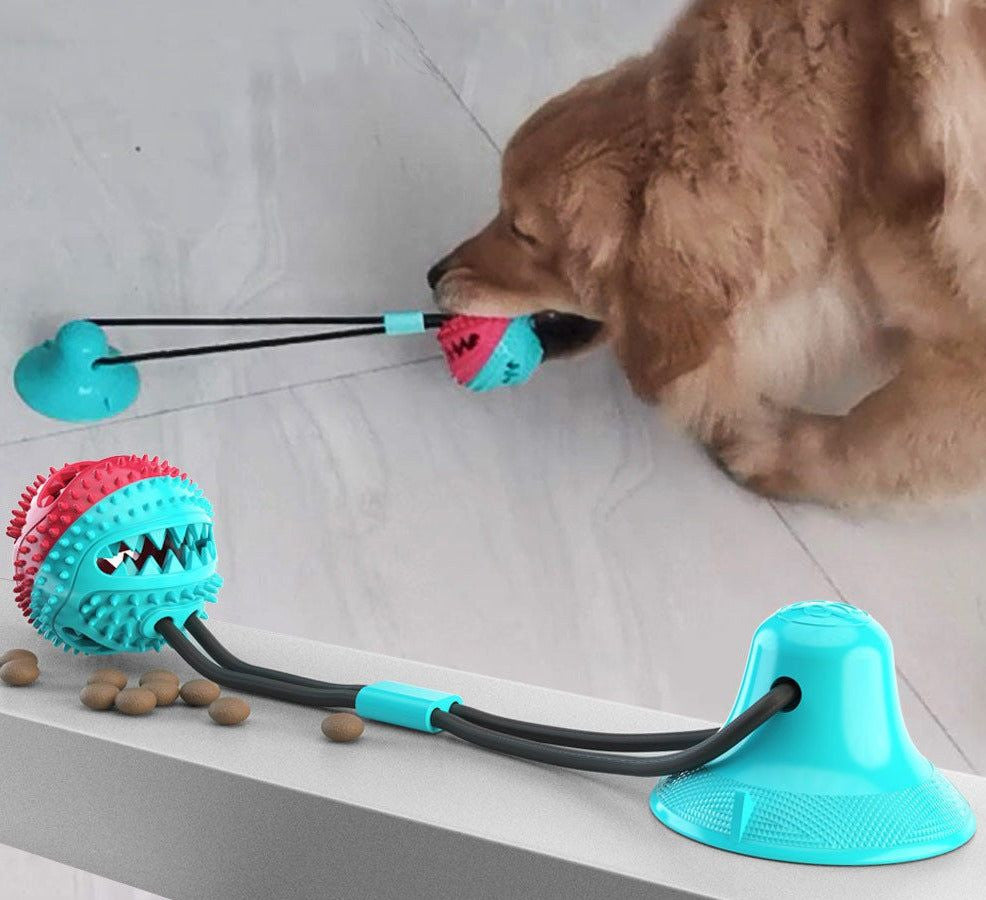 Tooth Brush & Toy