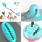 Tooth Brush & Toy