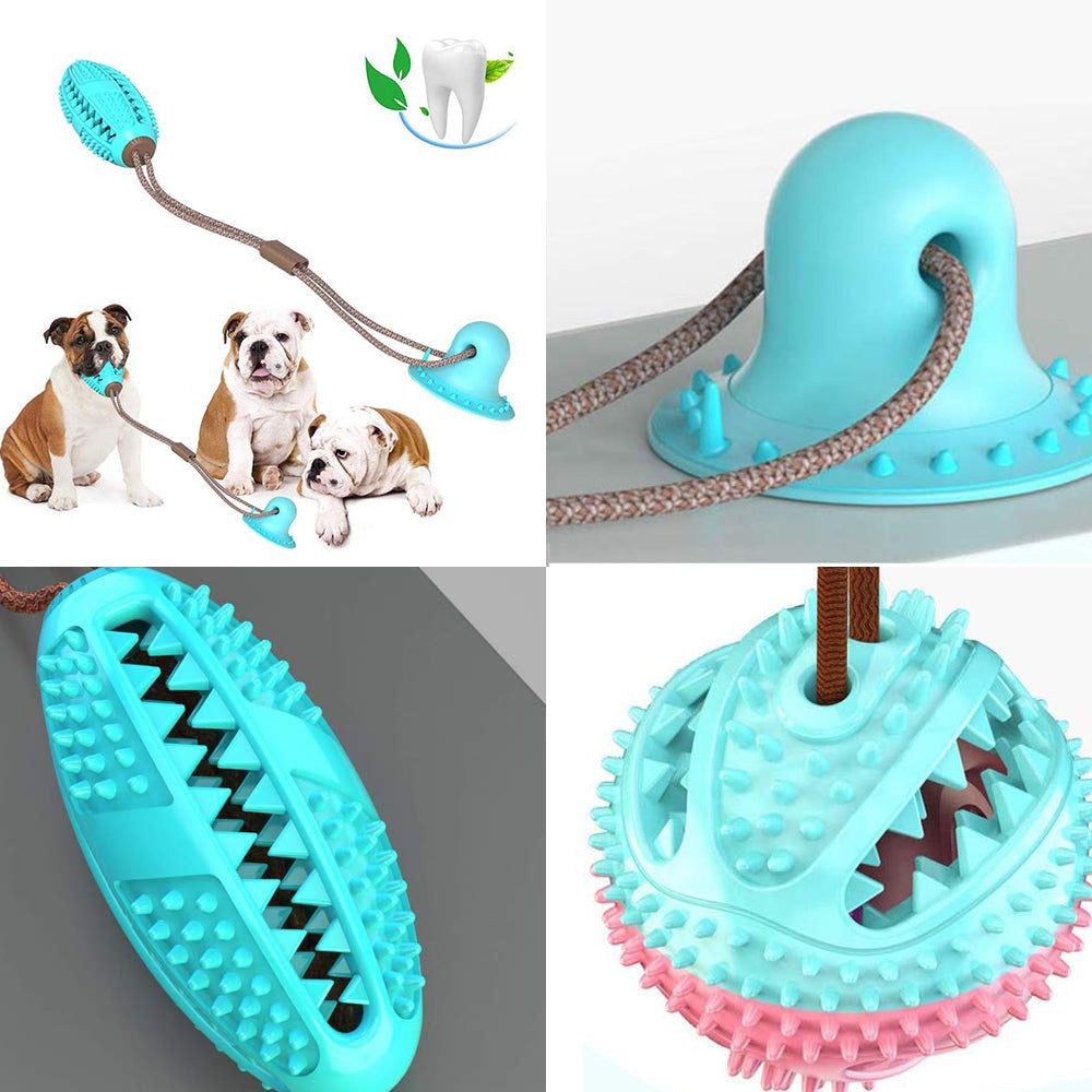Tooth Brush & Toy