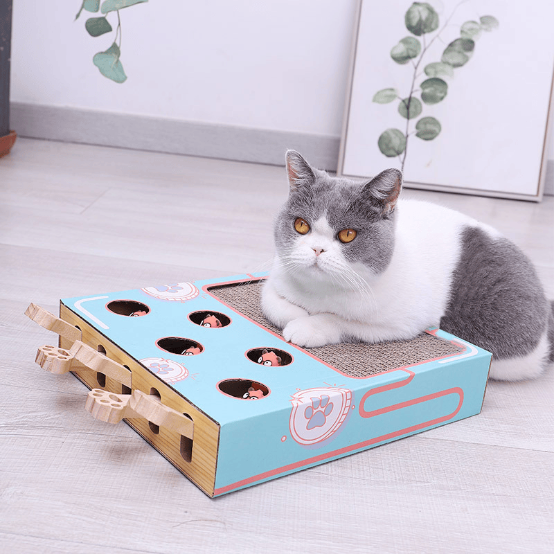 Ultimate 3-in-1 Cat Playground