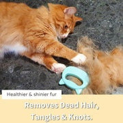 Cat Hair Removal Massaging Shell Comb