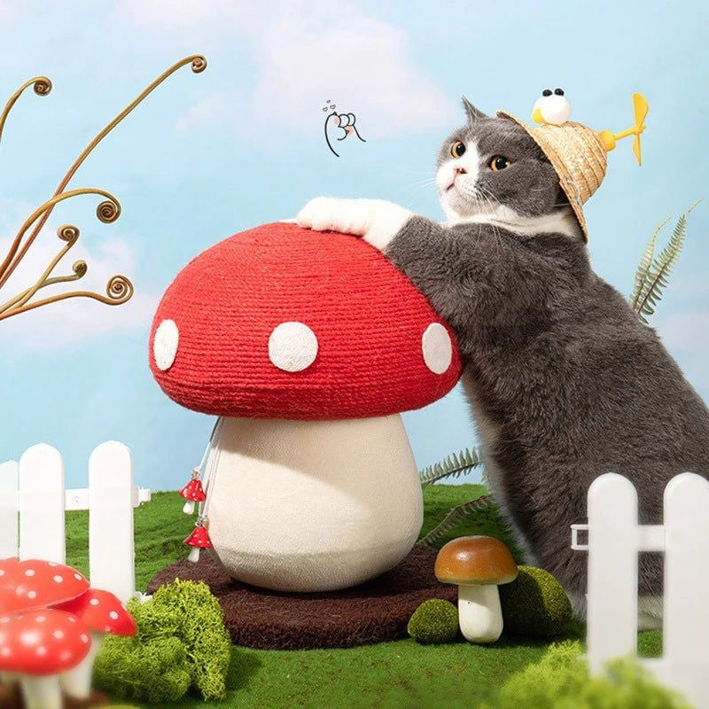 Mushroom Cat Scratcher