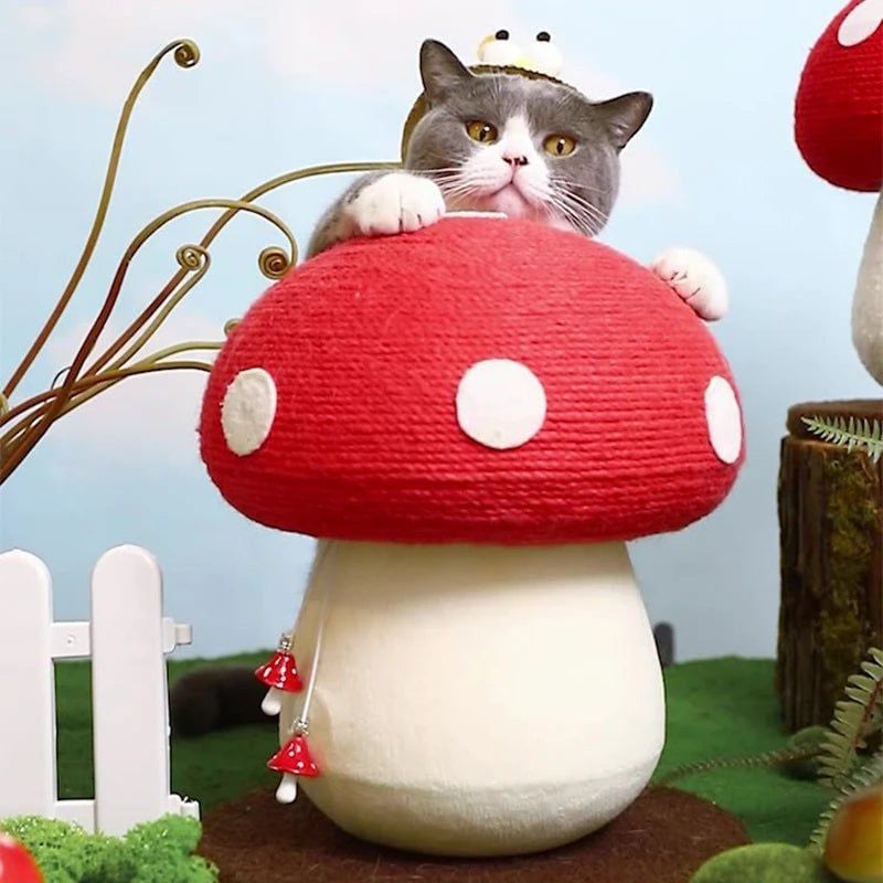 Mushroom Cat Scratcher