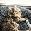 Fluffy Cat Bed