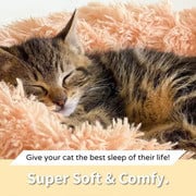 Fluffy Cat Bed