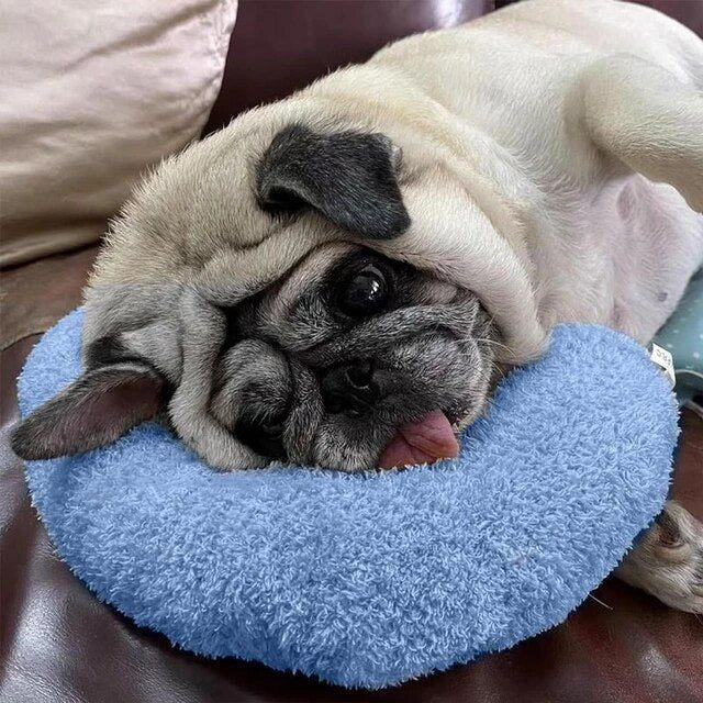 Comfortable Dog Pillow