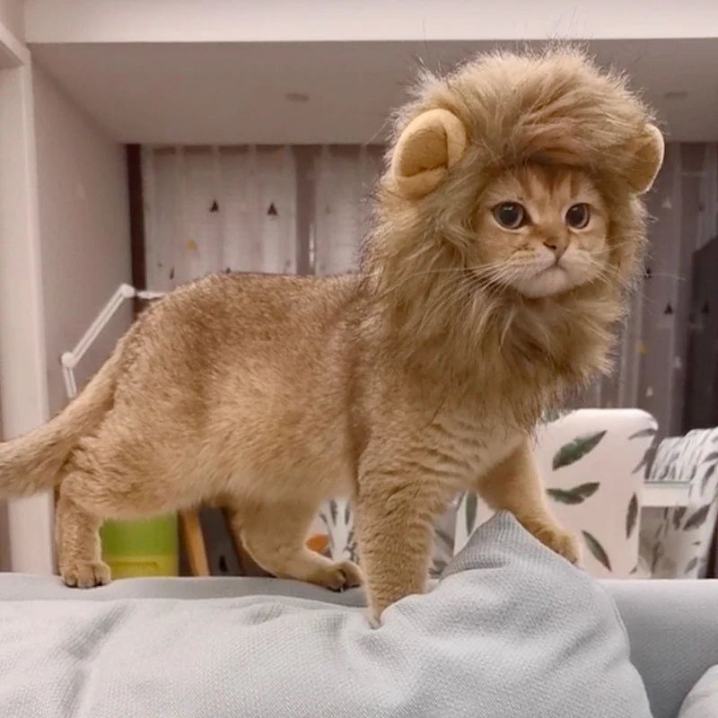 Pet Hairpiece - Humorous Lion Mane Headgear for Cats