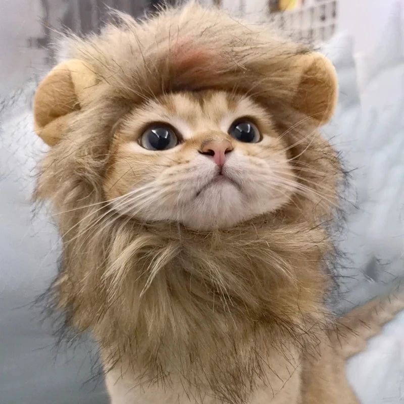 Pet Hairpiece - Humorous Lion Mane Headgear for Cats