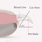 Professional Pet Nail Clippers with Led Light Pet Claw Grooming Scissor