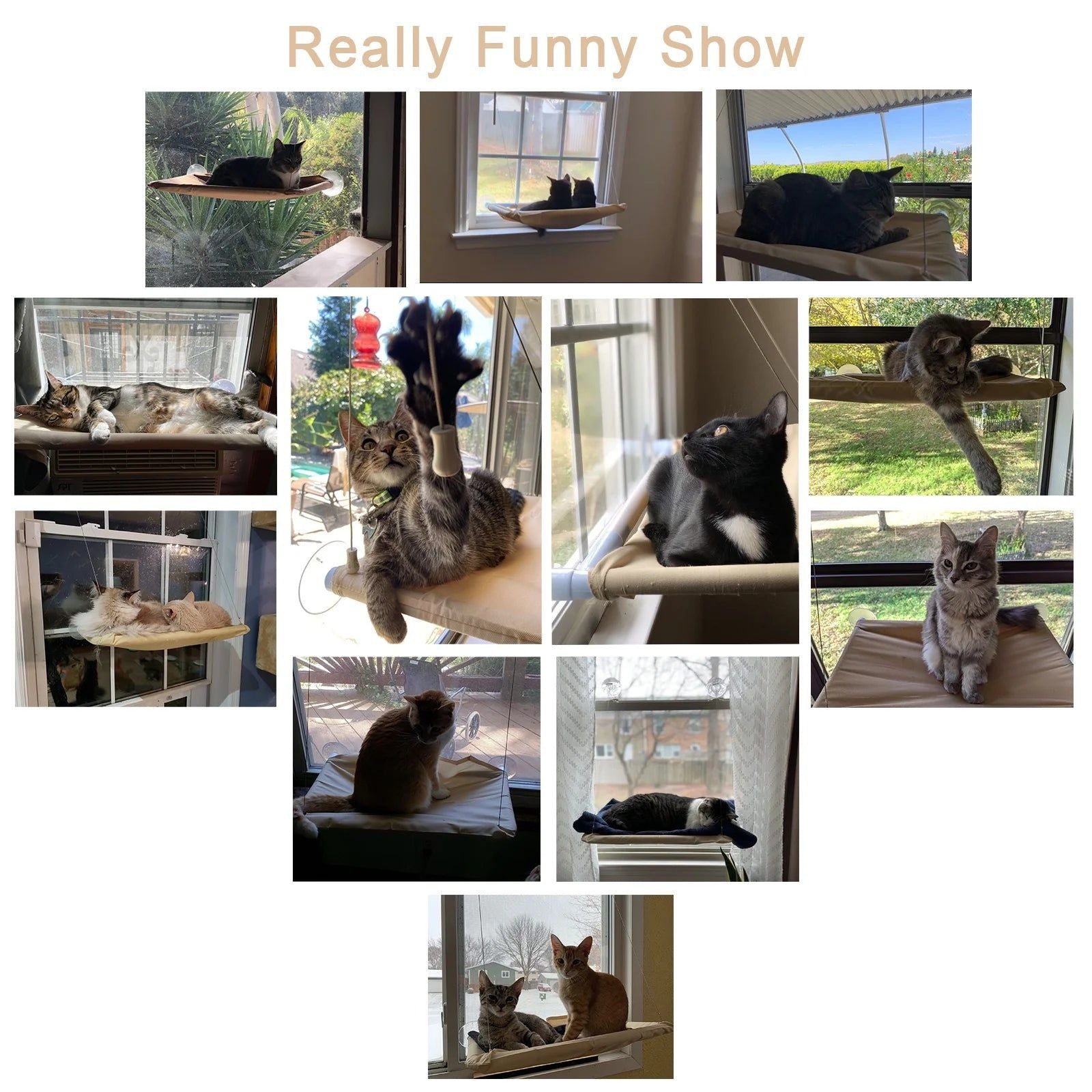 Cat Window Hommock Perch Bed