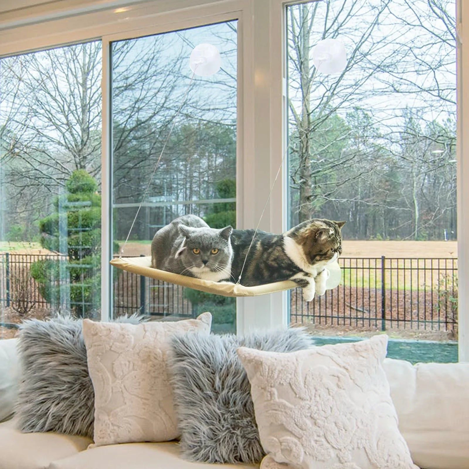 Cat Window Hommock Perch Bed