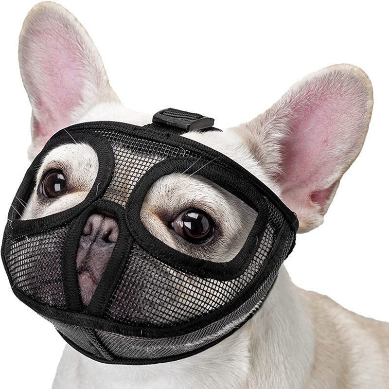 Protection Mask