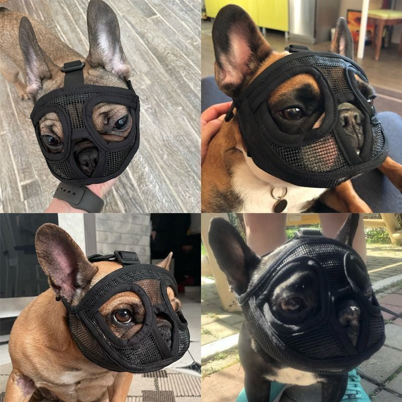Protection Mask
