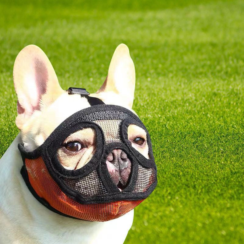 Protection Mask