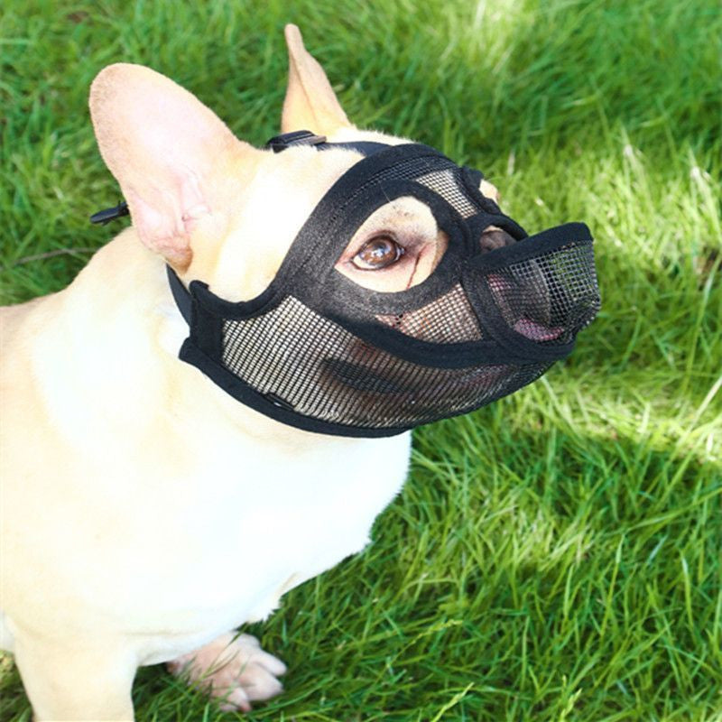 Protection Mask
