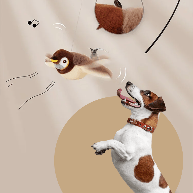 Chirping Toy