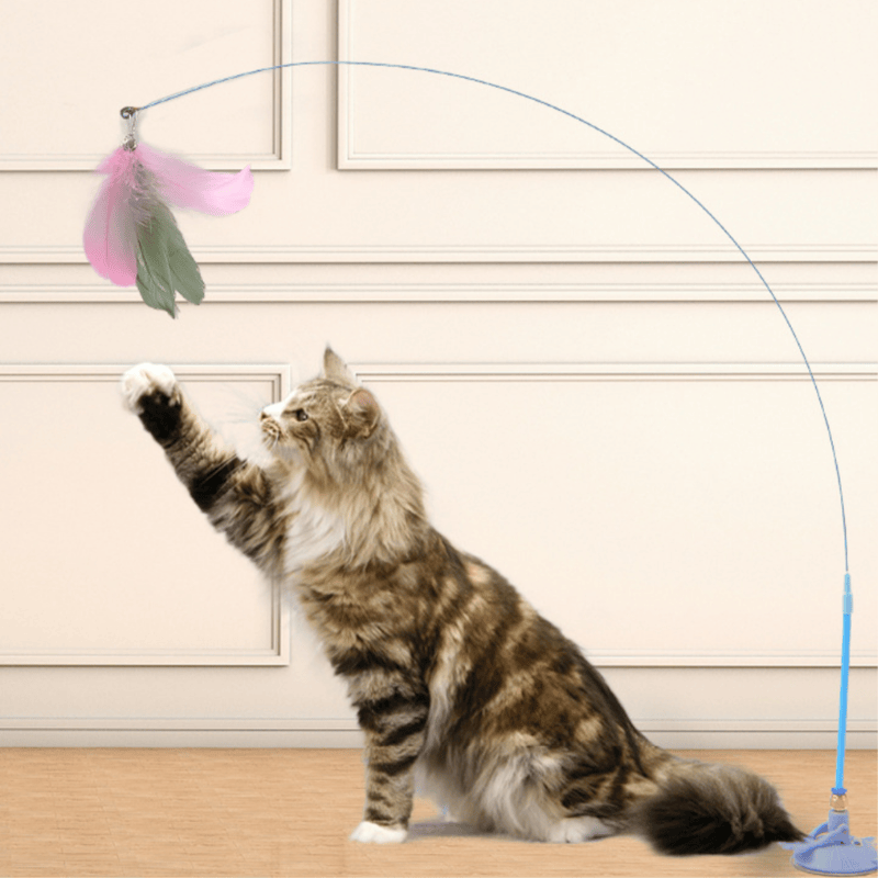 JumpJoy Cat Toy
