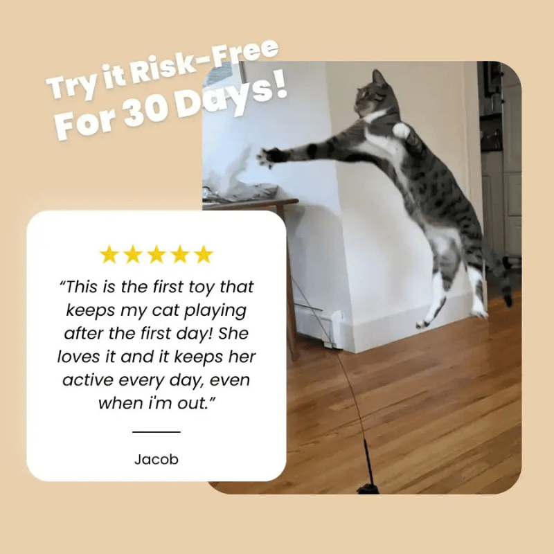 JumpJoy Cat Toy