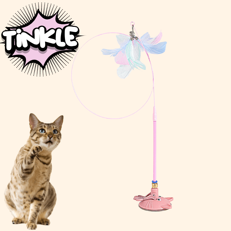 JumpJoy Cat Toy