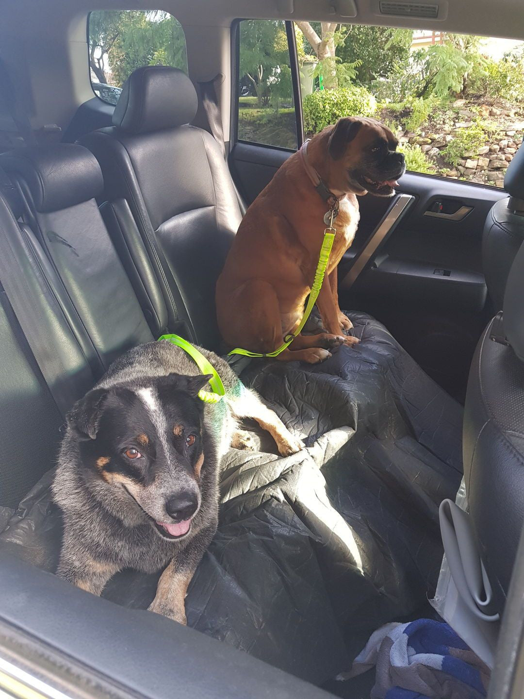 Adjustable Reflective Anti-Shock Pet Seat Belt