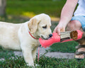 Dog Water Bottle | Leak Proof All In One Water Dispenser with Feeder