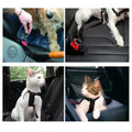 Dog Seat Belt