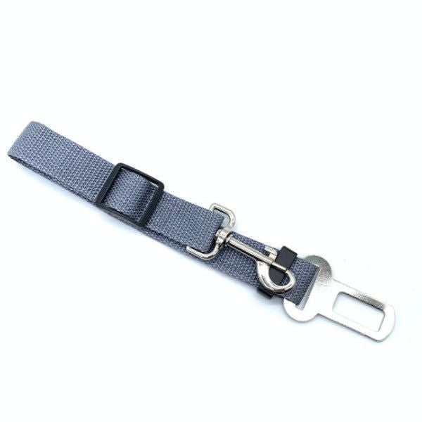 Dog Seat Belt