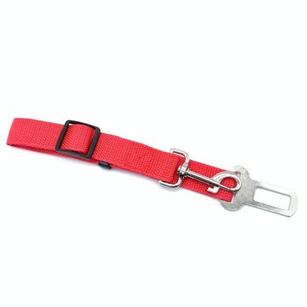 Dog Seat Belt