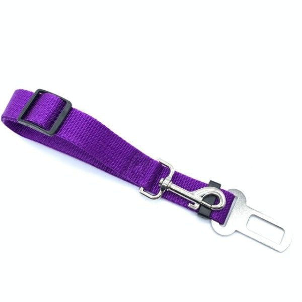 Dog Seat Belt